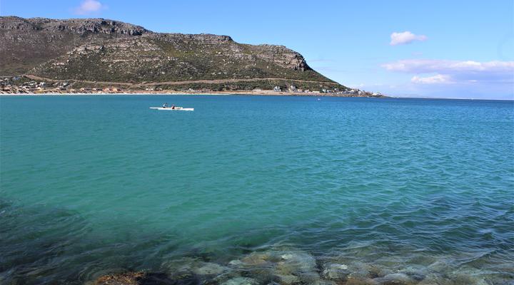 South Shore Harrier 202