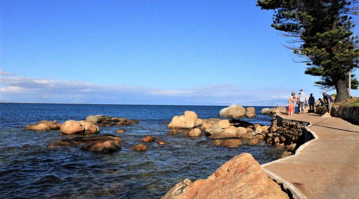 South Shore Harrier 202