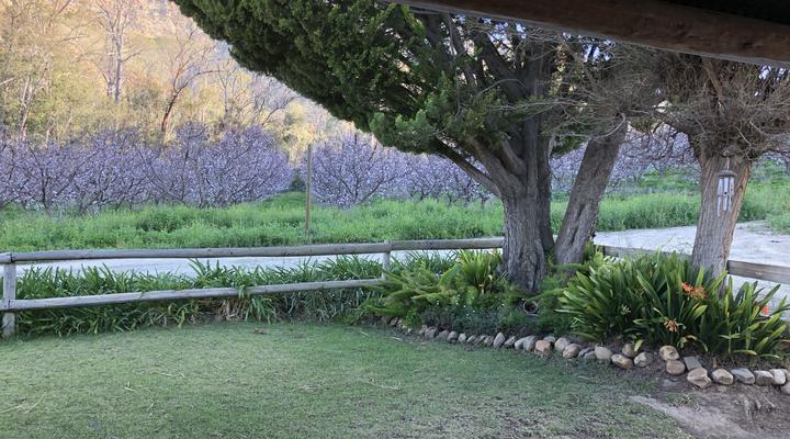 Goedemoed Farm Cottage Accommodation