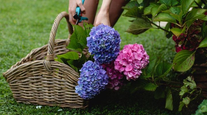 Fairview Historic Homestead