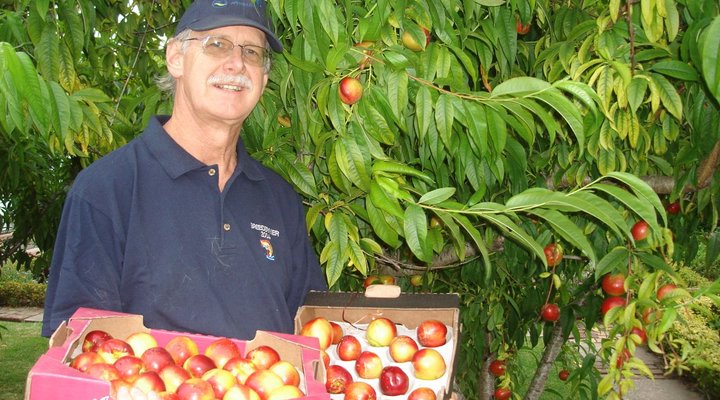 Fairview Historic Homestead