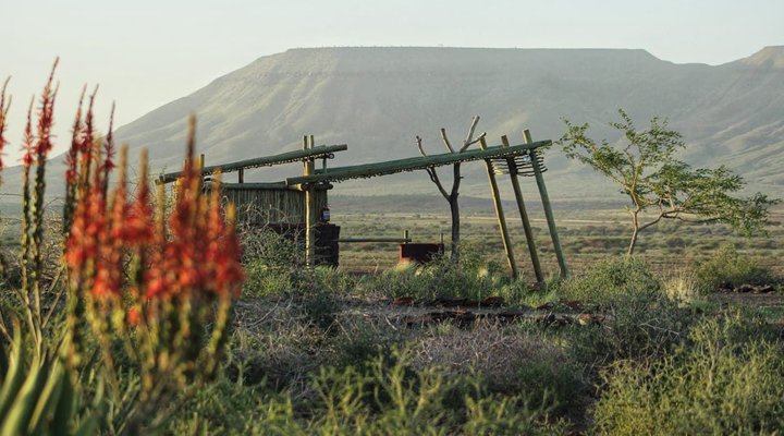 Mount D'Urban Campsite