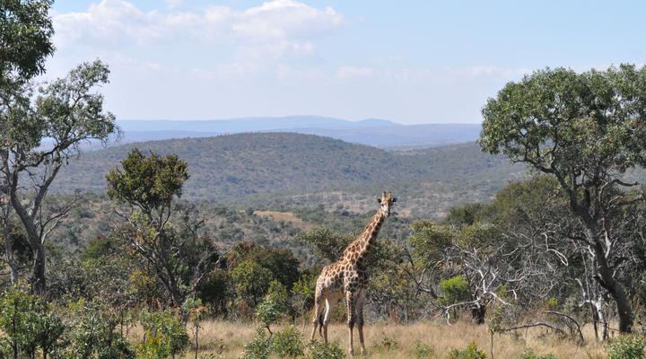 Elandsvlei Estate Luxury Tent