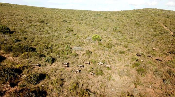 Lunsklip Farm-Lekker Johnnie outpost