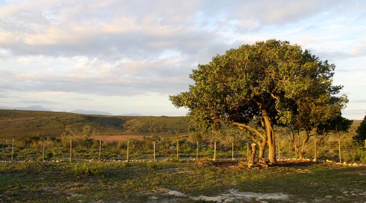 Lunsklip Farm-Lekker Johnnie outpost