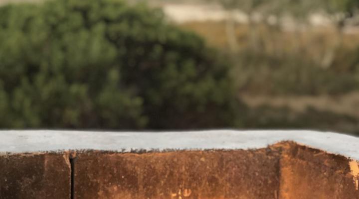 Rooisee Beach Cottage