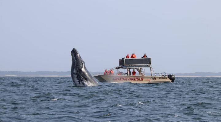 St Lucia Wilds Flatlet