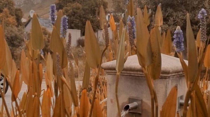 Fernkloof Manor House