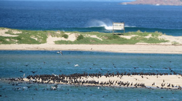 Strandveld Beach House Plett Self Catering