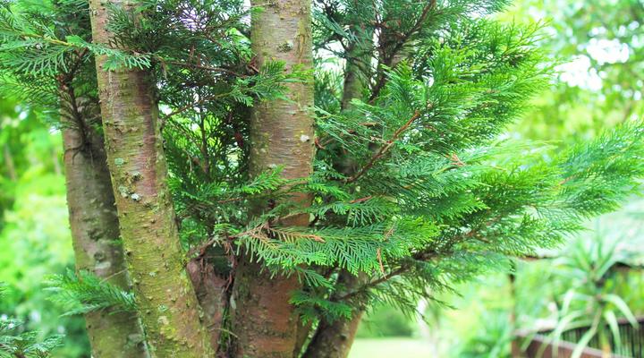 Sakabula Country Lodge