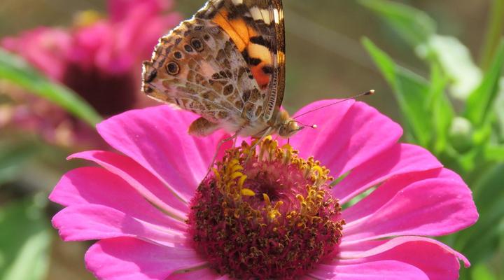 His Vessel Guesthouse Pty Ltd