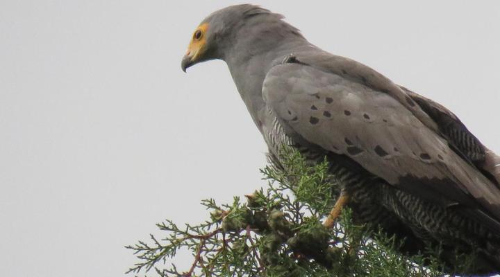 His Vessel Guesthouse Pty Ltd