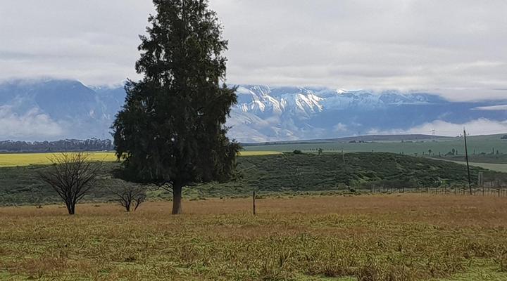 Fynbos Guest Farm & Animal Sanctuary