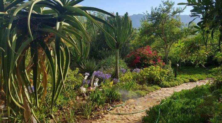 Fynbos Guest Farm & Animal Sanctuary