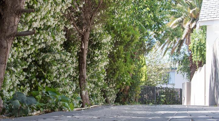 Allegro Guest House - Bloemfontein