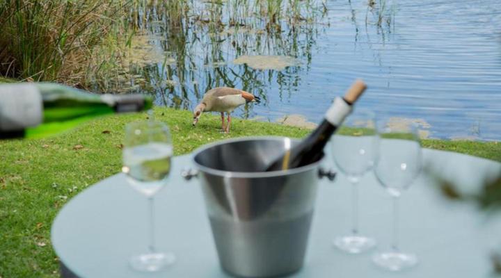 Serendipity Wilderness