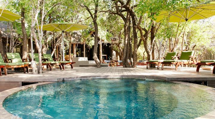 Tambuti Lodge - Pilanesberg