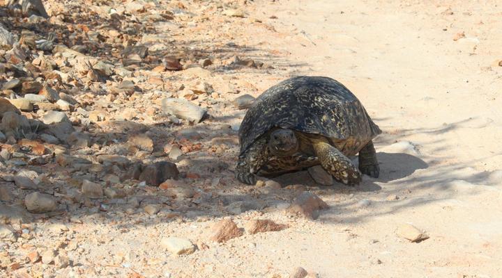 Bo Kouga Mountain Retreat