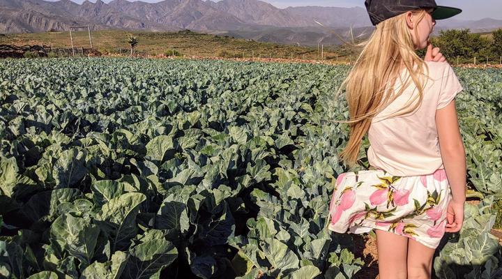 Swartberg Pass Cottages 