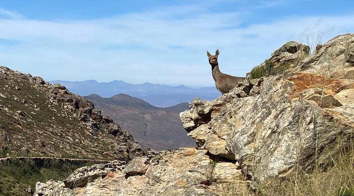 Swartberg Pass Cottages 