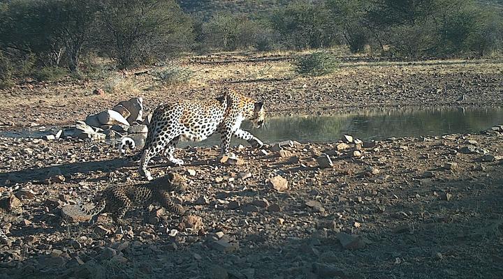Erongo Plateau Camp
