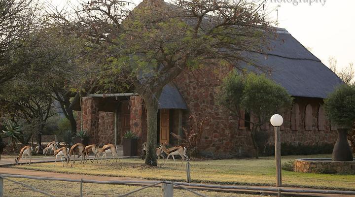 Mangwa Valley Game Lodge