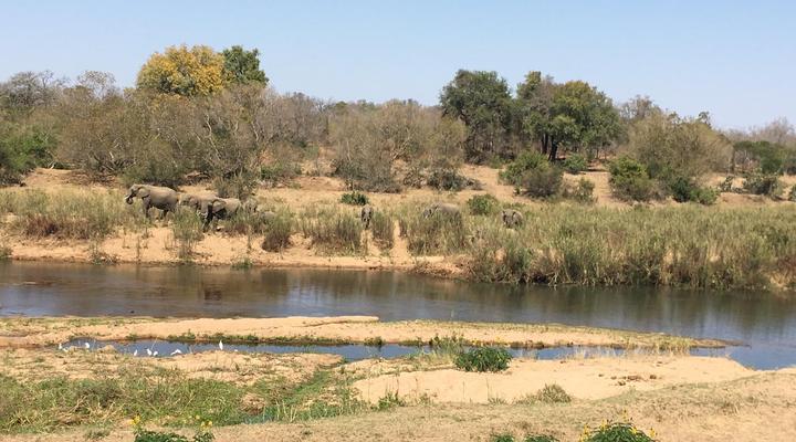 Sabie River Bush Lodge