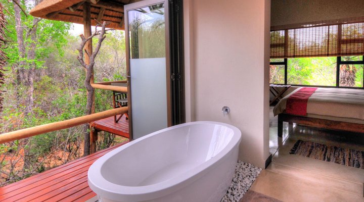 Cheetah Paw Eco Lodge