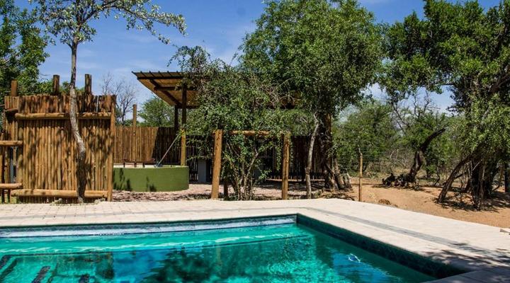 Chameleon Bush Lodge