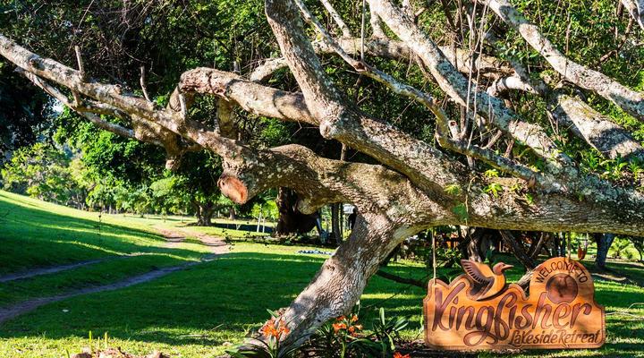 Kingfisher Lakeside Retreat