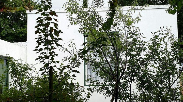 Winterson en Somerkoelte