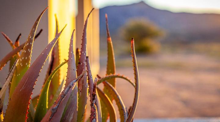 Kamieskroon Cosy Cottages