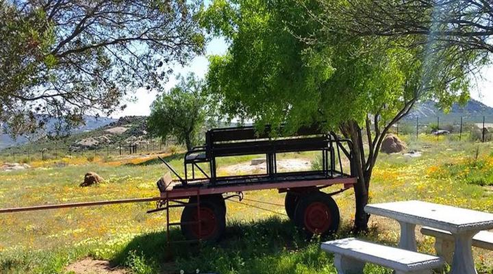 Kamieskroon Cosy Cottages