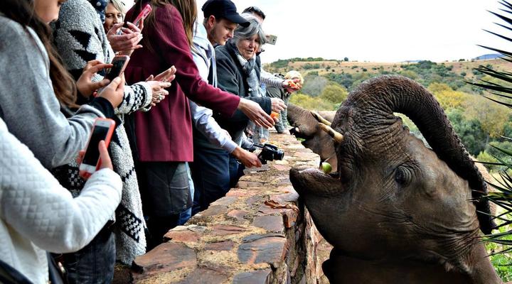 Glen Afric Country Lodge