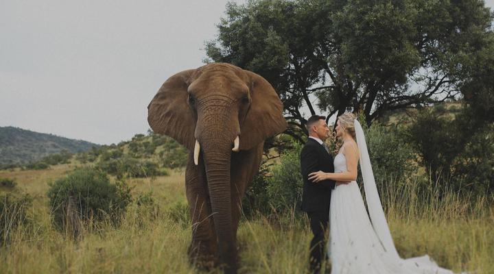 Glen Afric Country Lodge