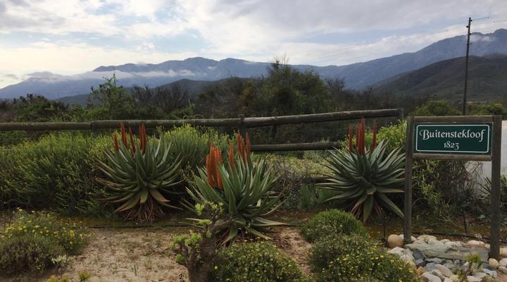 Buitenstekloof Mountain Cottages