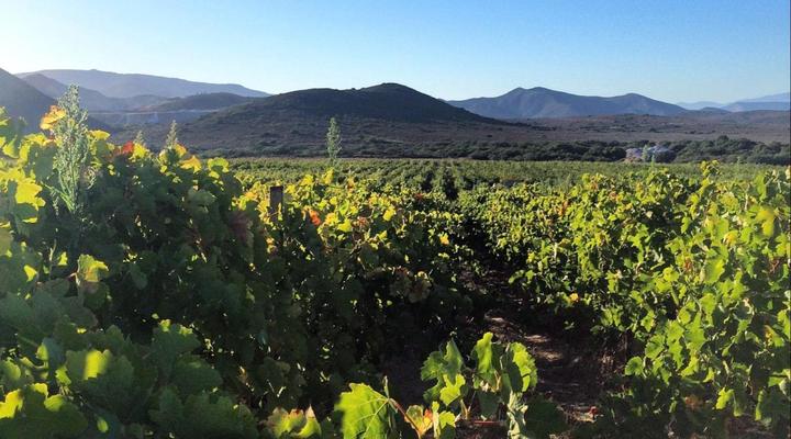 Buitenstekloof Mountain Cottages