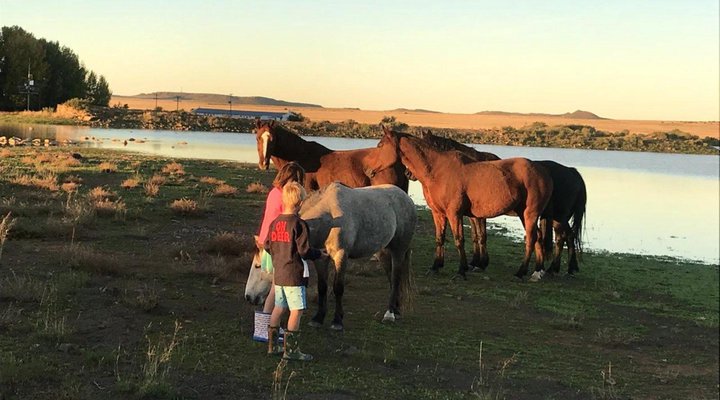 Kuilfontein Stable Cottage