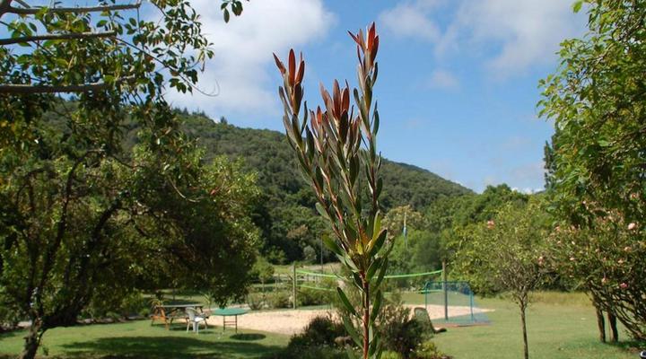 Fairy Knowe Backpackers