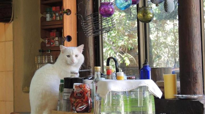 Fairy Knowe Backpackers