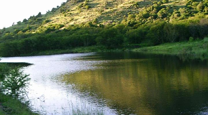 Roydon Nature Reserve