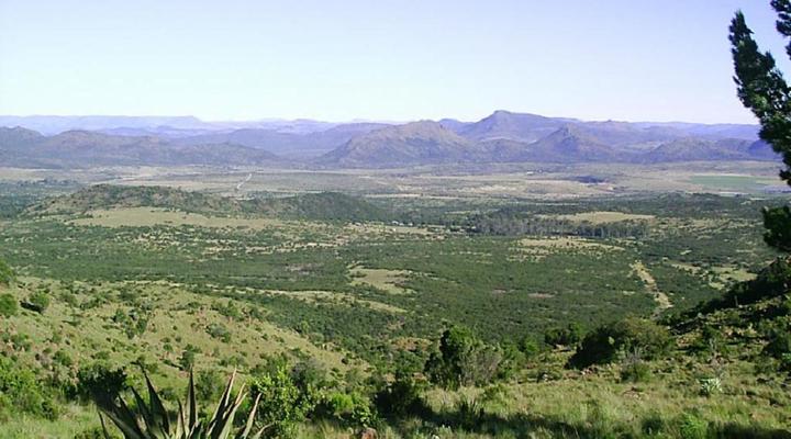 Roydon Nature Reserve