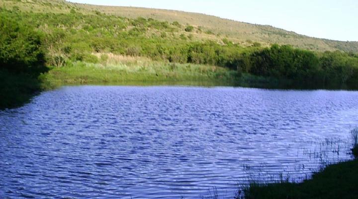 Roydon Nature Reserve