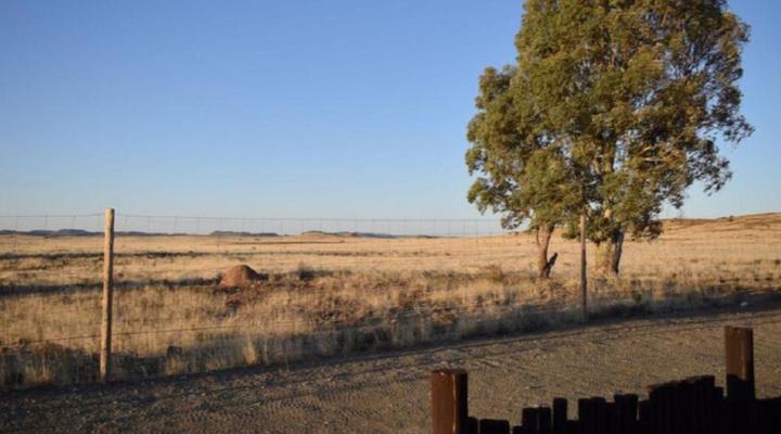 Nooitgedacht Guest Farm