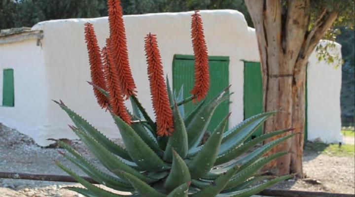 Matjiesvlei Guest Farm