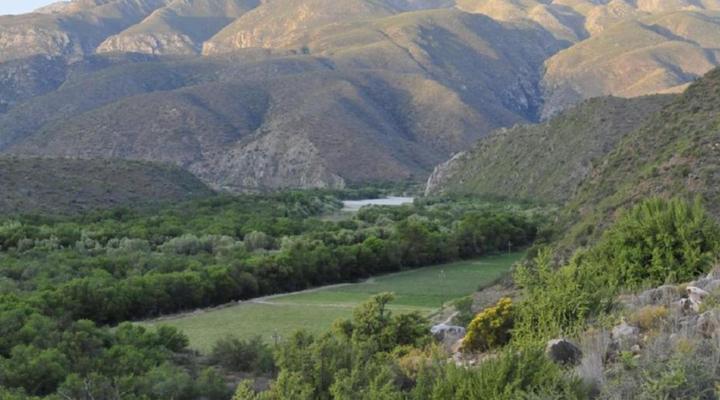 Matjiesvlei Guest Farm