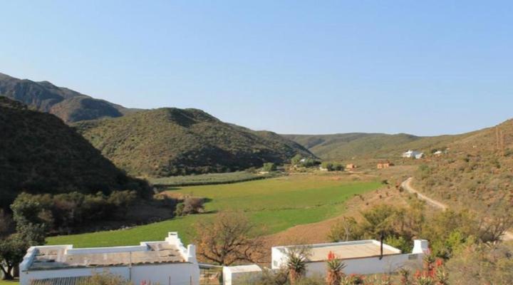 Matjiesvlei Guest Farm