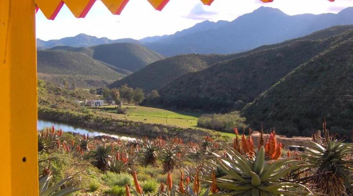 Matjiesvlei Guest Farm