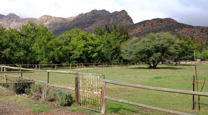 De Bos Guest Farm
