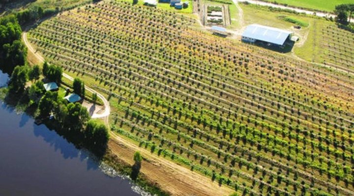 Toorbos Self catering